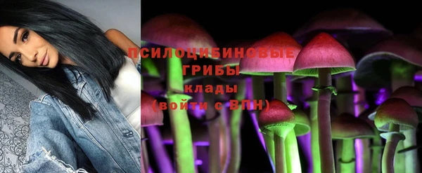 спайс Гусев