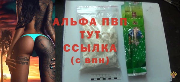спайс Гусев
