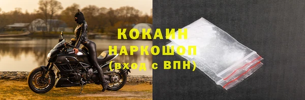 спайс Гусев