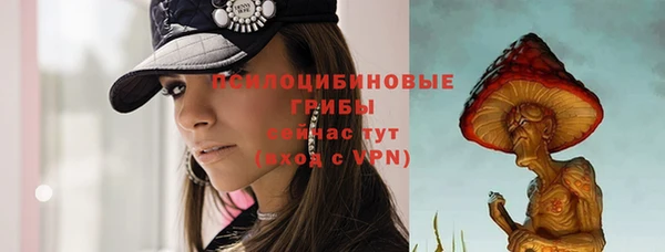 меф Гусь-Хрустальный