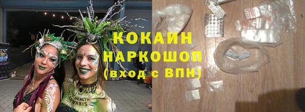 спайс Гусев