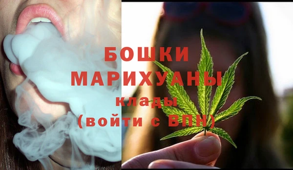 спайс Гусев