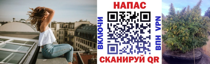 Шишки марихуана SATIVA & INDICA  хочу   Энгельс 